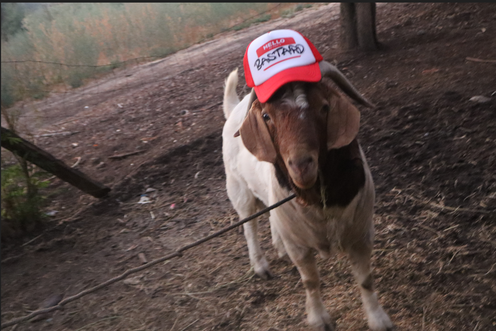 Hello my name is "BASTARD" Trucker Hat